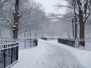 Empty path in park dusted with snow